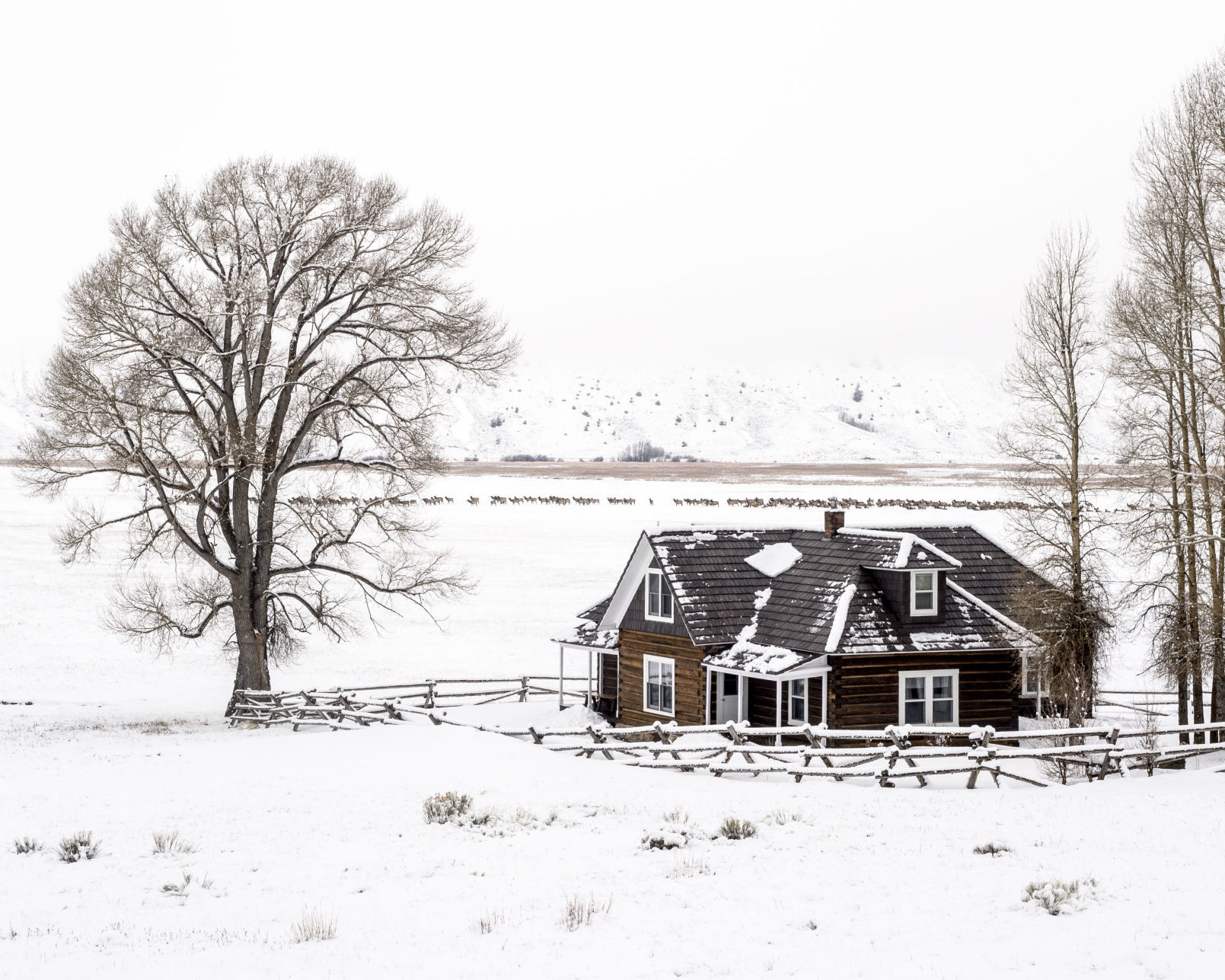 Snow on the National Elk Refuge